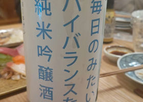 alt 1