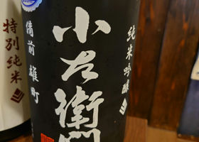 alt 1