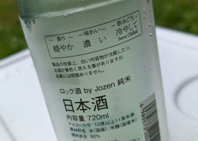 alt 2