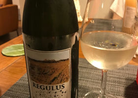 REGULUS チェックイン 1