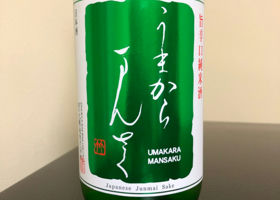 alt 1