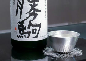 alt 1