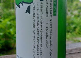 alt 3