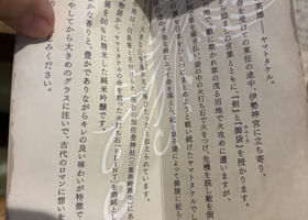 alt 2