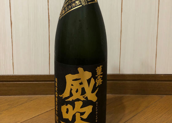 alt 1