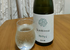 kamosu mori Check-in 1