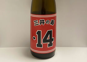 alt 3