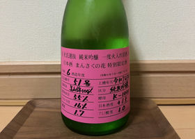 alt 1