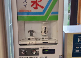 alt 3