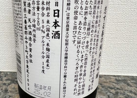 alt 2