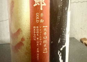 alt 3