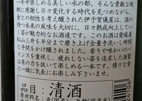 alt 2