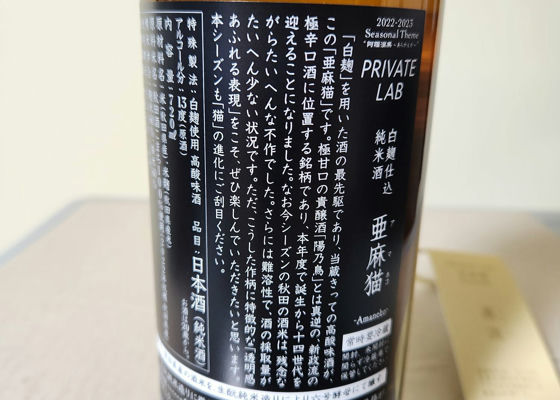 新政