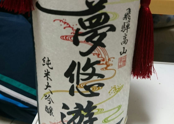 alt 1