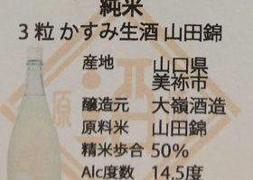 alt 3