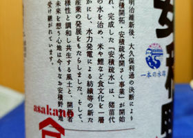 alt 3