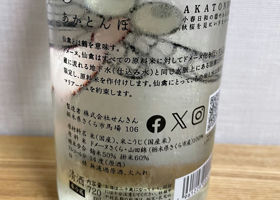 alt 2