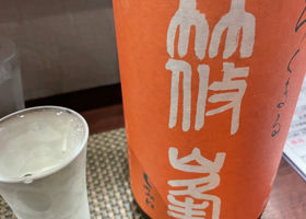 alt 1