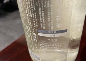 alt 2