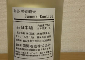 Rz55 Summer Emotion チェックイン 2