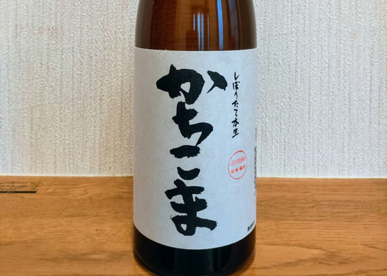 新発売 高岡市 720ml 勝駒(かちこま)大吟醸 清都酒造場 日本酒