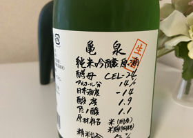 alt 1