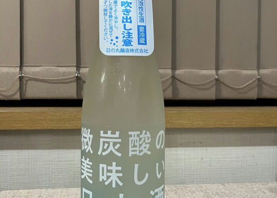 alt 1