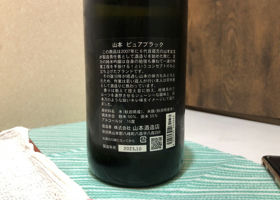 alt 3