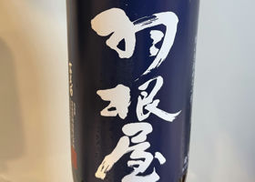 alt 1