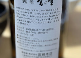 alt 2