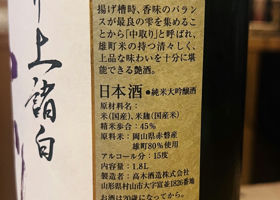 alt 3