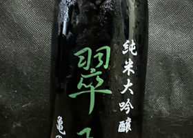 alt 1