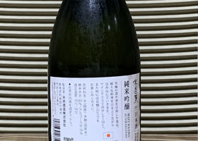 alt 3