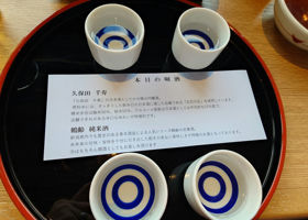alt 1