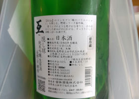 alt 1