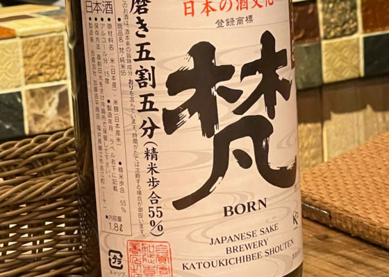 Born 签到 1