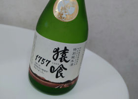 alt 1