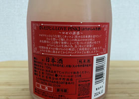 alt 2