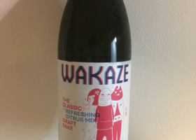 WAKAZE チェックイン 1