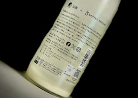 alt 3