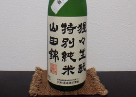 alt 2