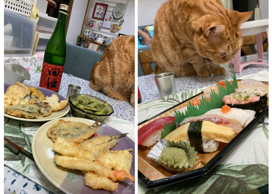 田酒