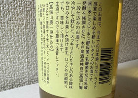 alt 3