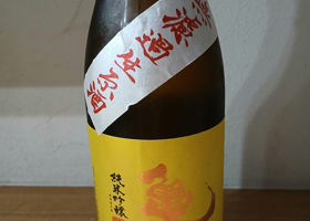 alt 1