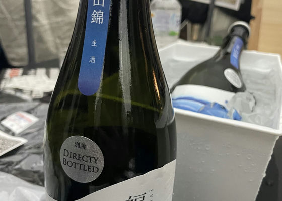 alt 1