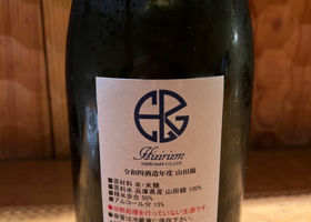 alt 3