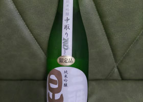 alt 1