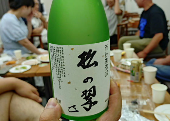 alt 1