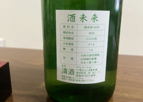alt 3