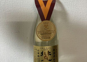 alt 3